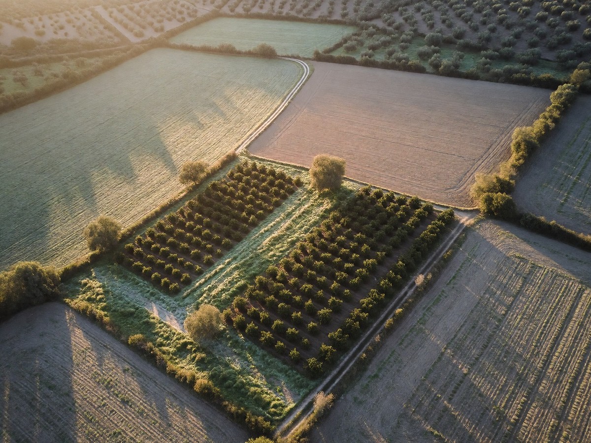 Nestle and BirdLife Europe partner to measure regenerative agriculture impact