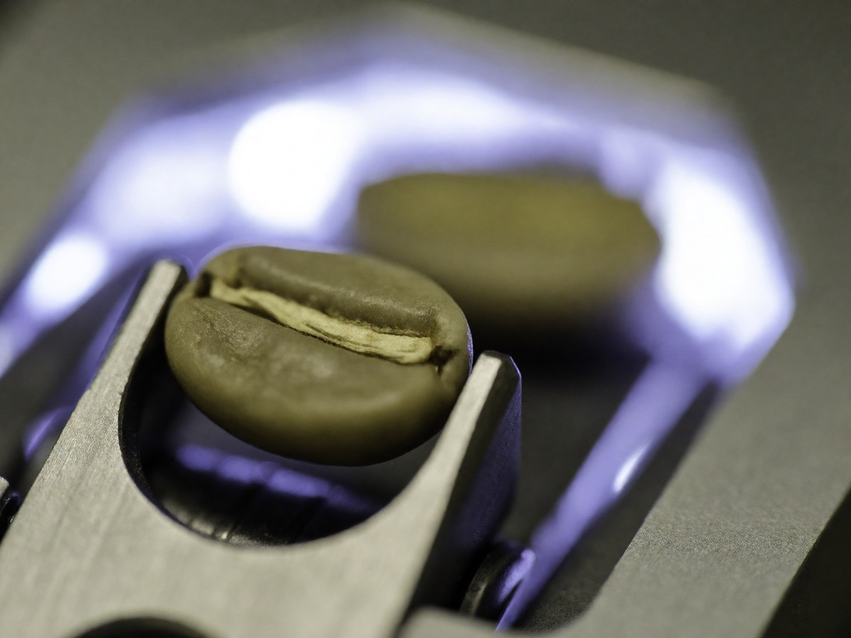 Mechanical flipping improves green coffee defect detection by 25.7%